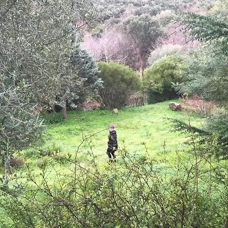 Apartamento Agreable Bas De Furiani