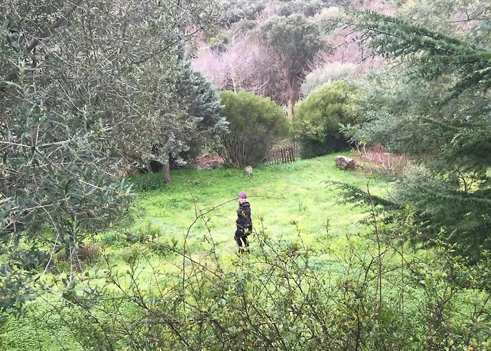 Apartmán Agreable Bas De Furiani